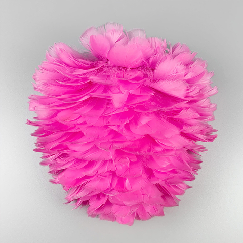 Настінний світильник із натурального рожевого пірʼя