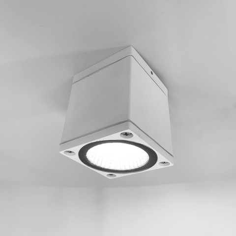 Вуличний стельовий білий світильник прямокутної форми