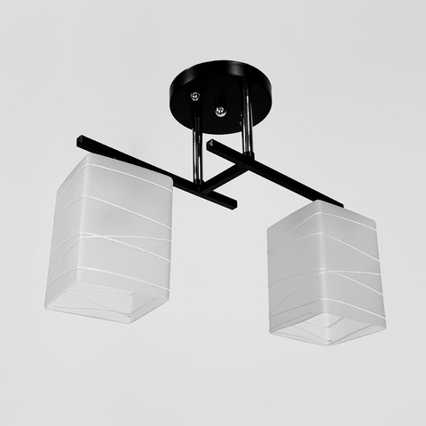 Прямокутний плафонний світильник на 2 лампи в чорному корпусі 34х15 см